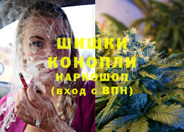 дмт Армянск